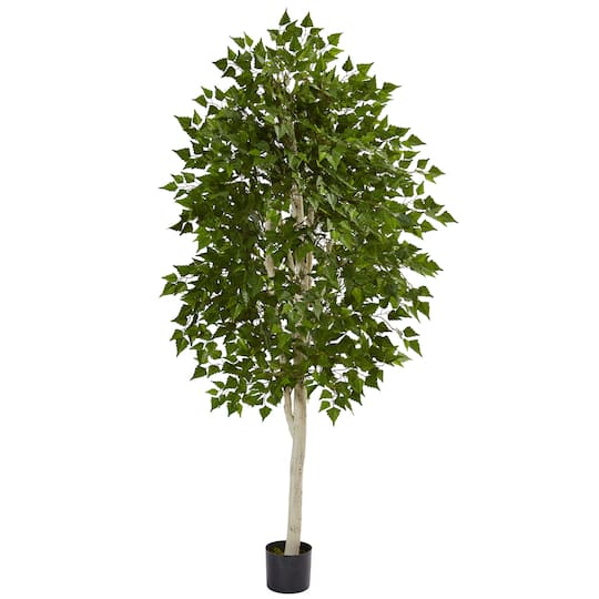 6ft. Potted Birch Tree